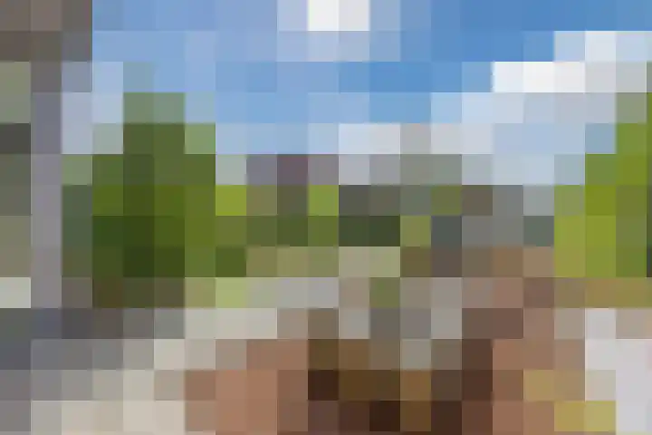 Vlasven 6 Veghel thumbnail 8