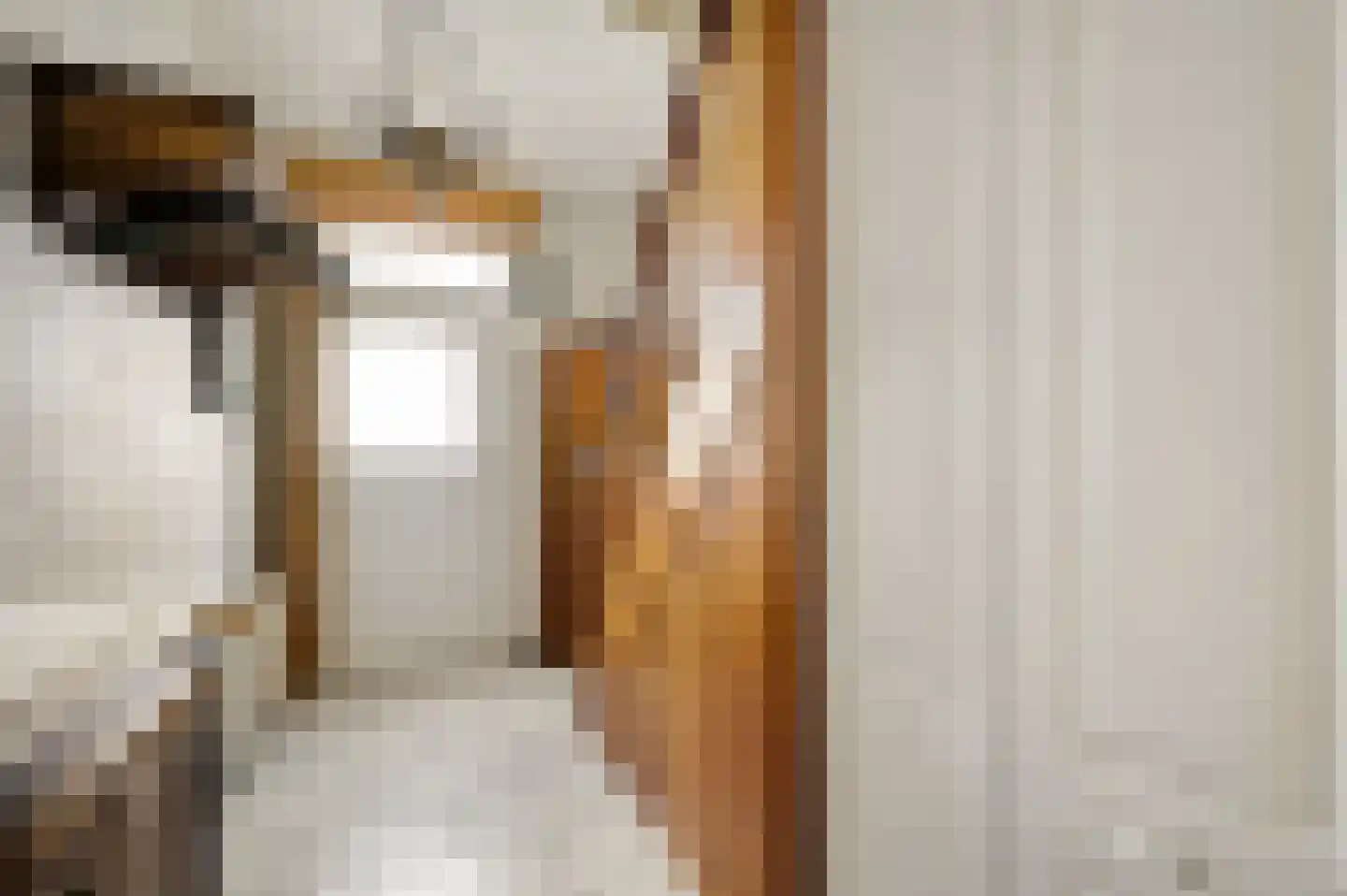 Vlasvenstraat 3 Melderslo thumbnail 10