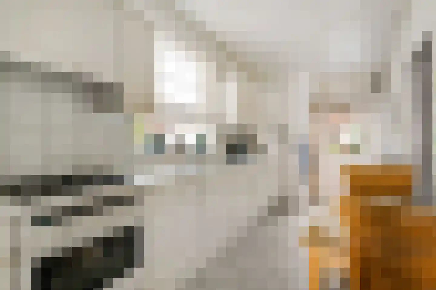Vlasvenstraat 3 Melderslo thumbnail 11