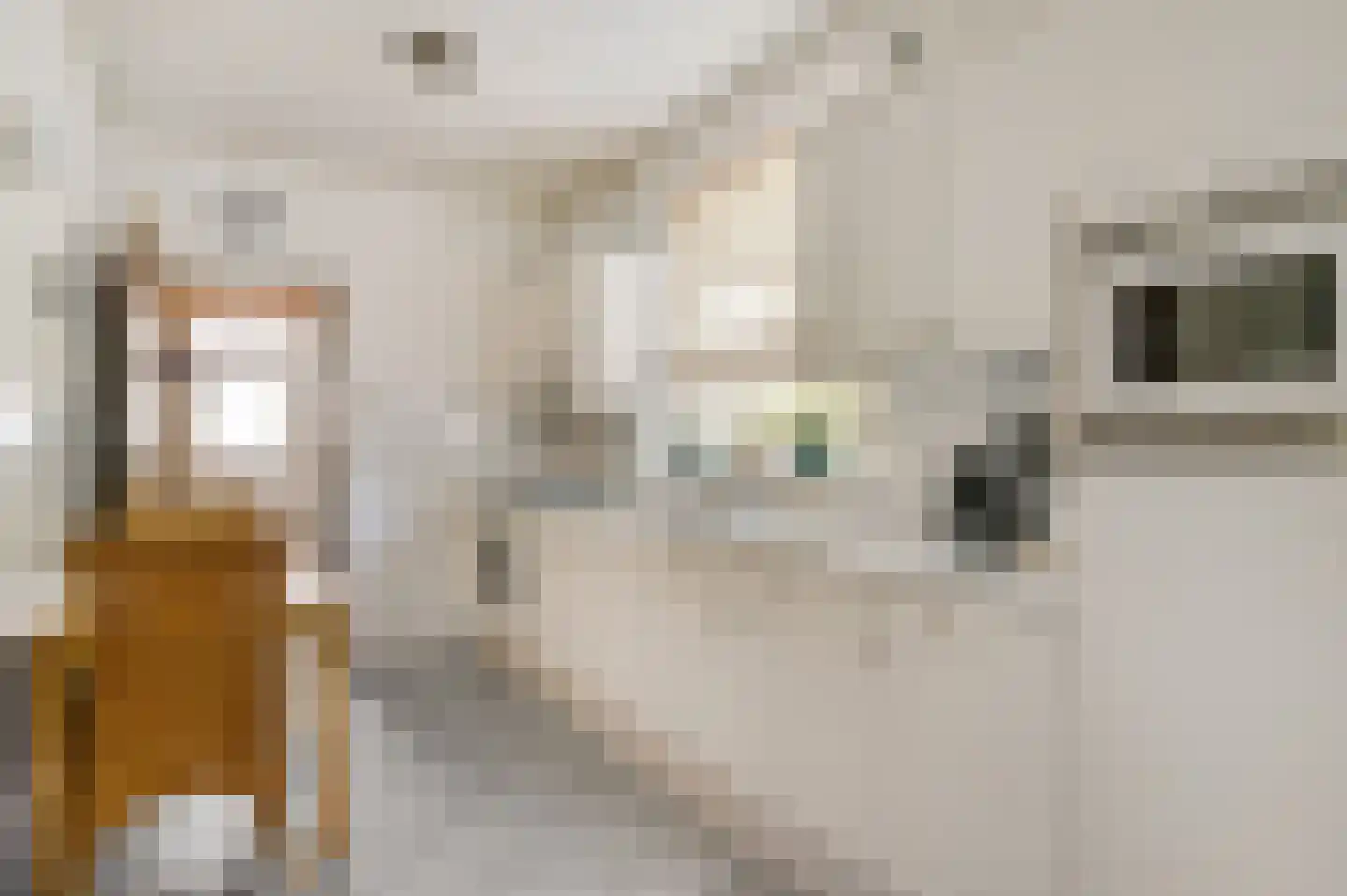 Vlasvenstraat 3 Melderslo thumbnail 12
