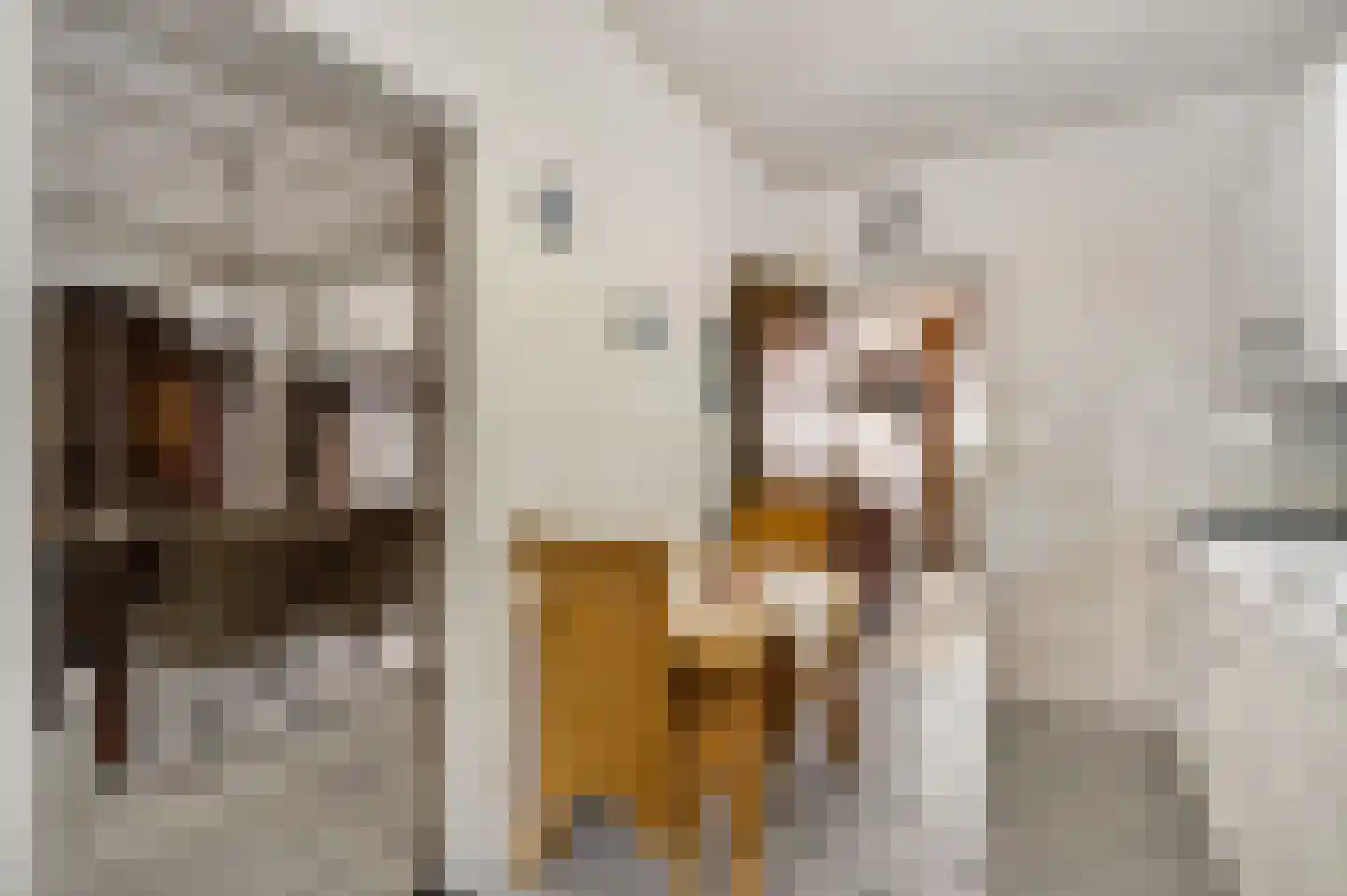 Vlasvenstraat 3 Melderslo thumbnail 13