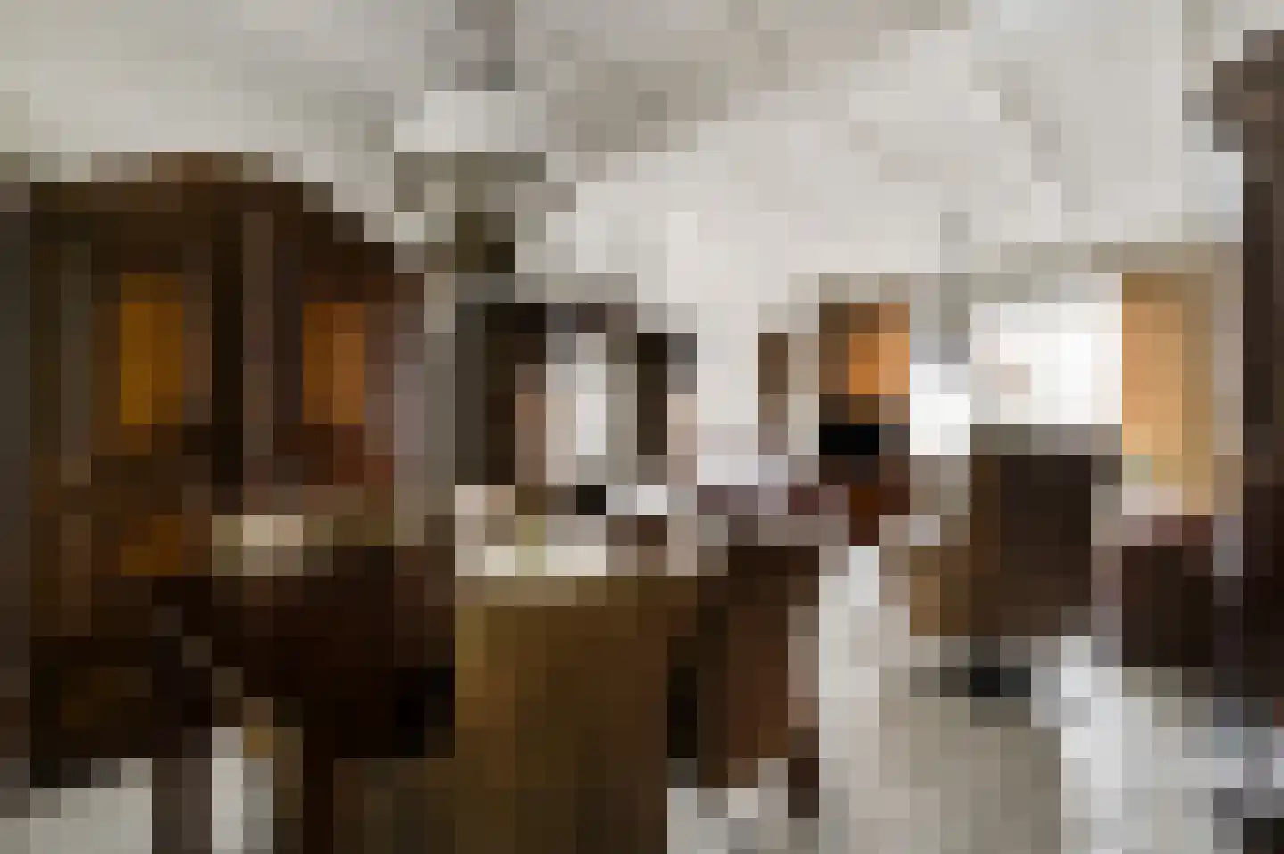 Vlasvenstraat 3 Melderslo thumbnail 14