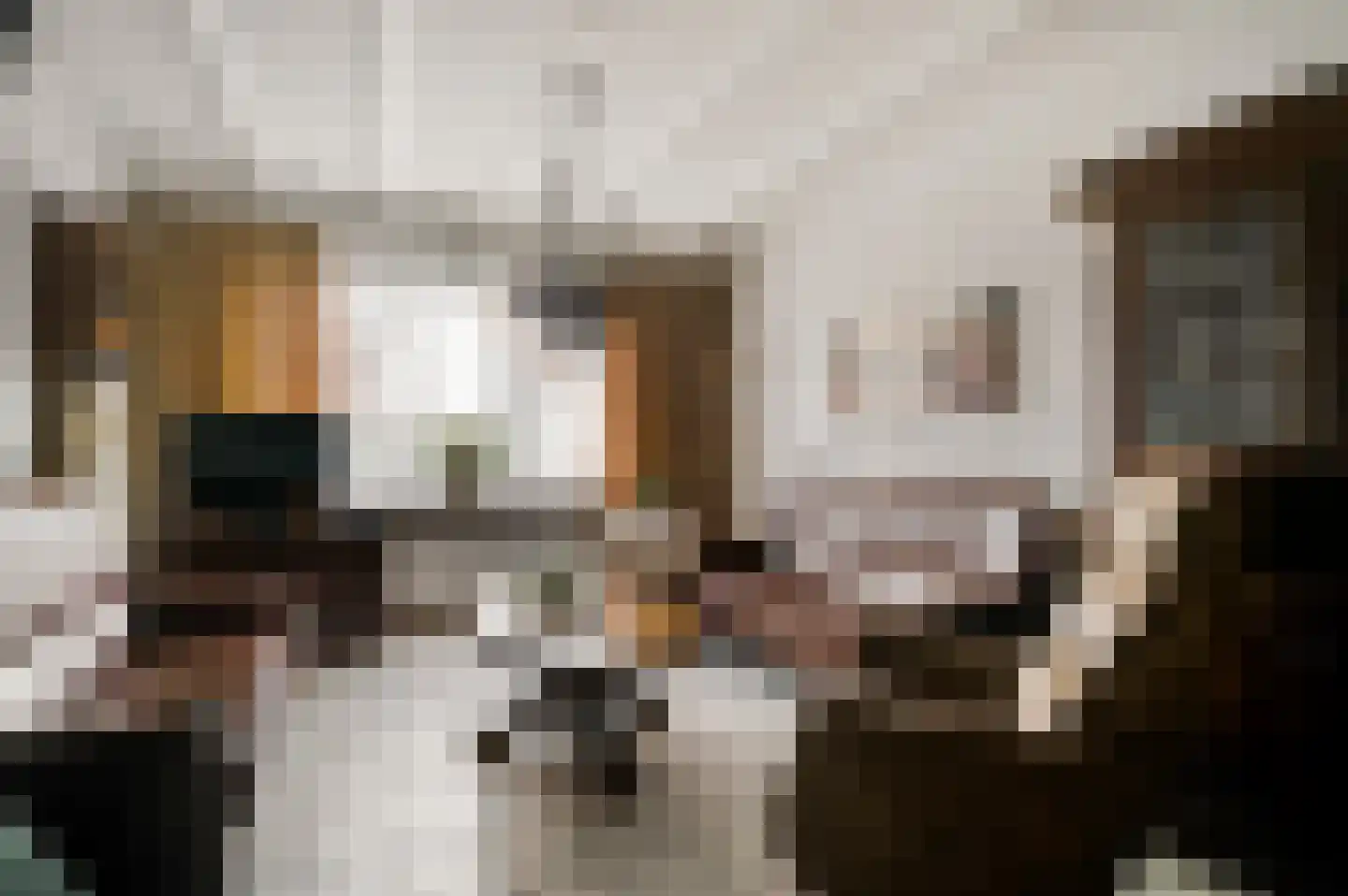Vlasvenstraat 3 Melderslo thumbnail 15