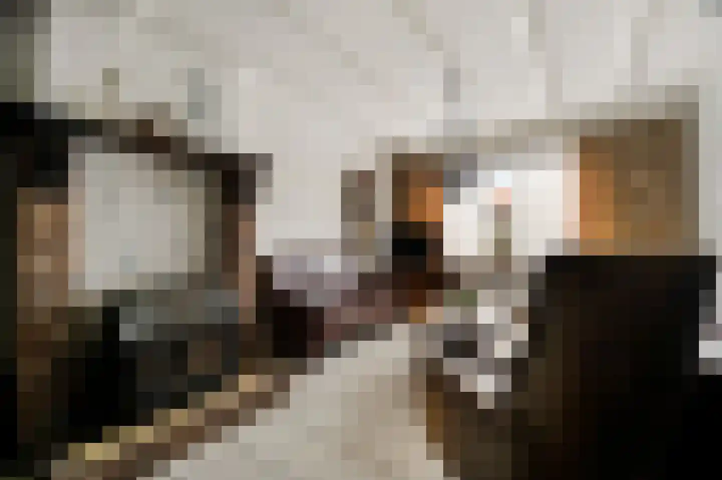 Vlasvenstraat 3 Melderslo thumbnail 16