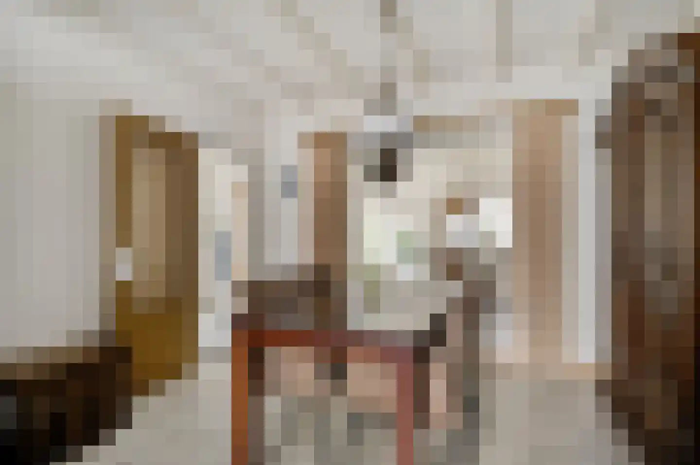 Vlasvenstraat 3 Melderslo thumbnail 18