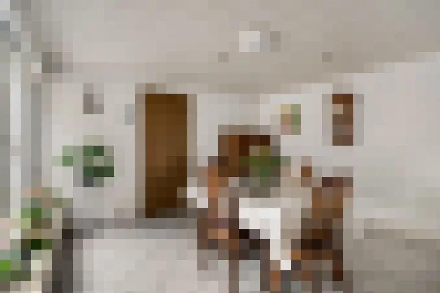 Vlasvenstraat 3 Melderslo thumbnail 19