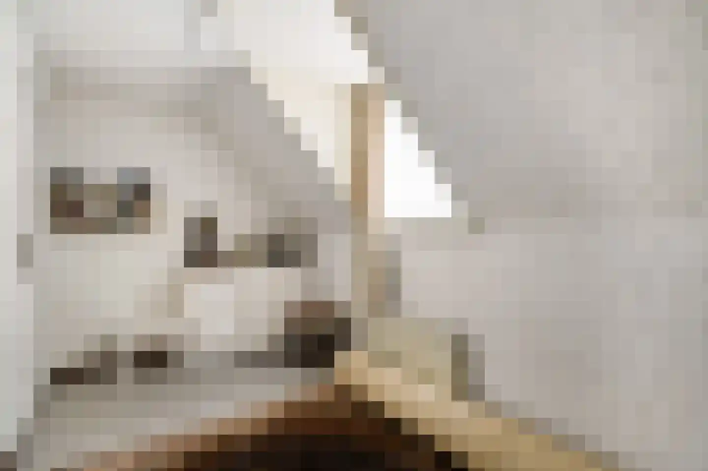 Vlasvenstraat 3 Melderslo thumbnail 28