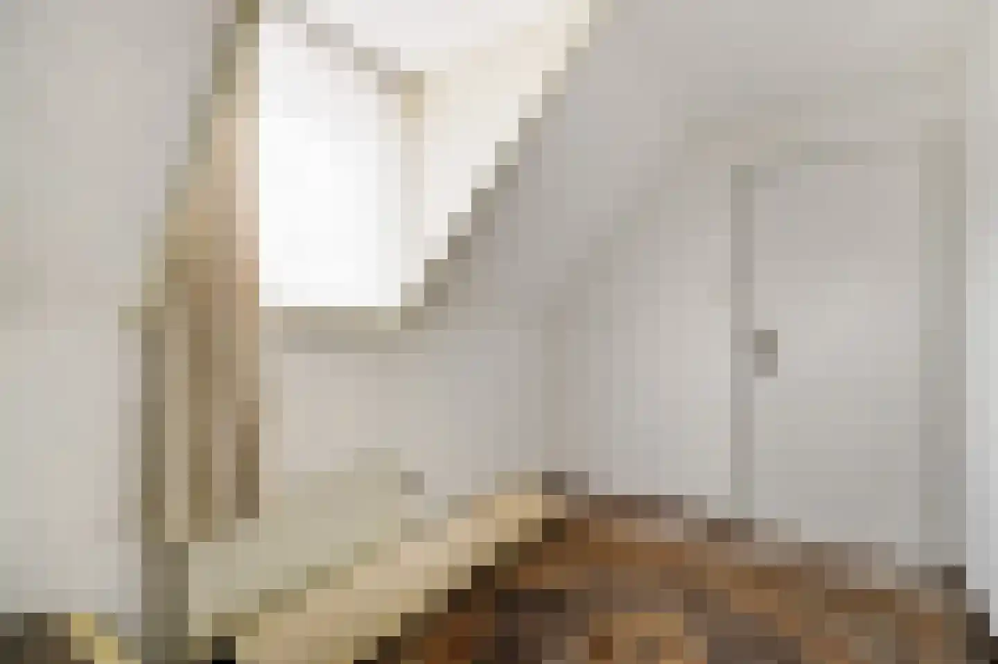 Vlasvenstraat 3 Melderslo thumbnail 29