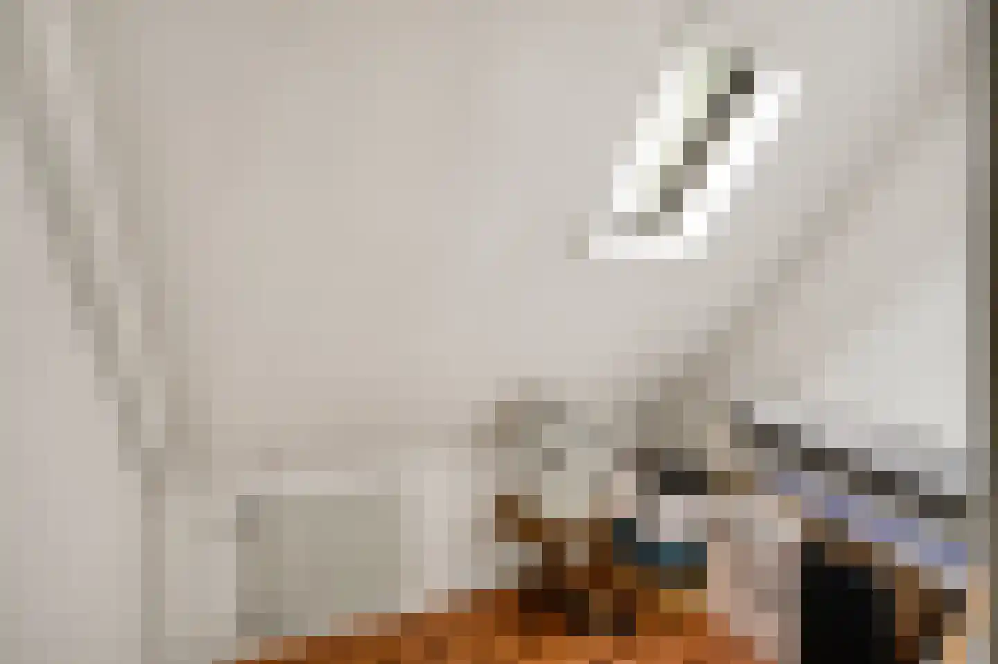 Vlasvenstraat 3 Melderslo thumbnail 30