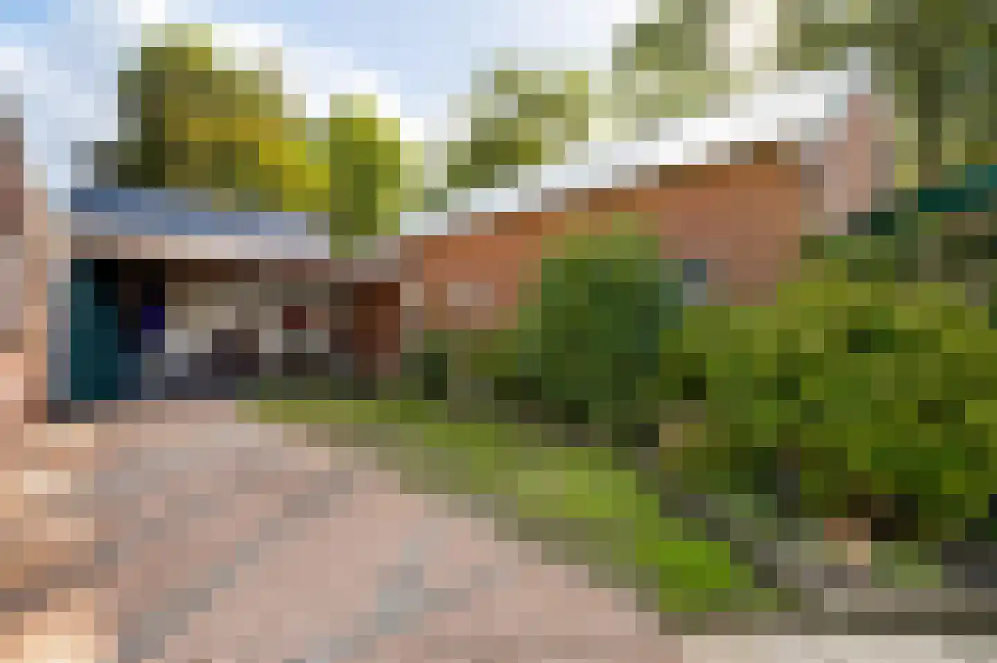 Vlasvenstraat 3 Melderslo thumbnail 32