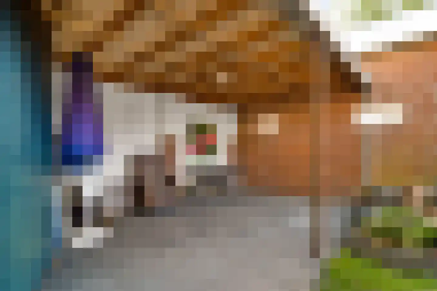 Vlasvenstraat 3 Melderslo thumbnail 33