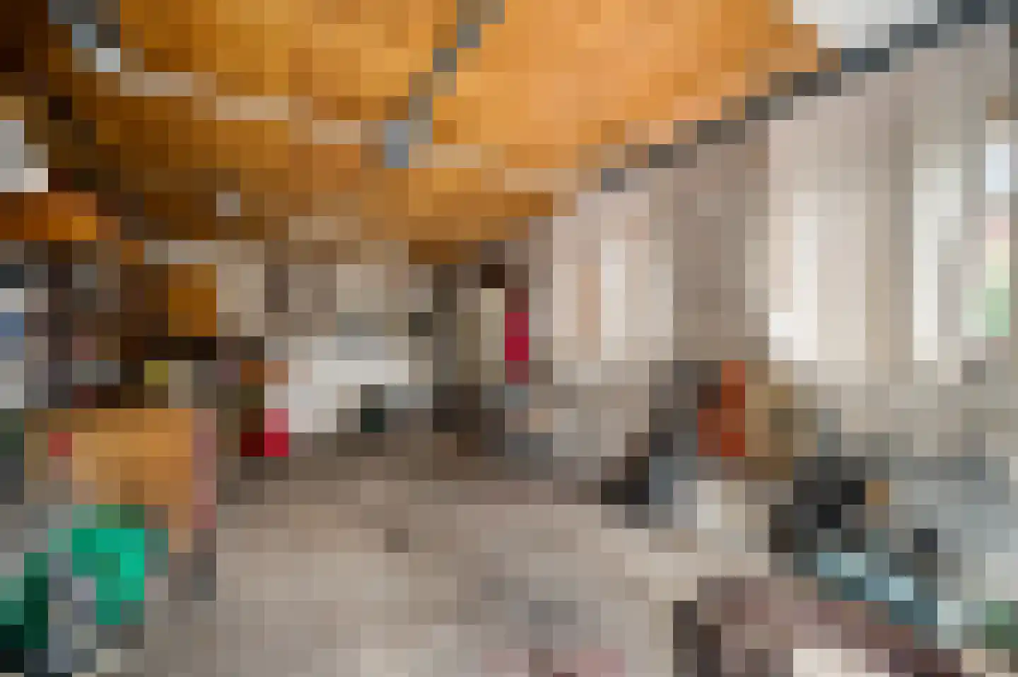 Vlasvenstraat 3 Melderslo thumbnail 36