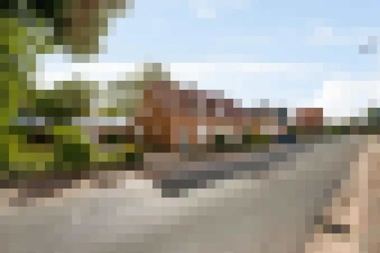 Vlasvenstraat 3 Melderslo thumbnail 39