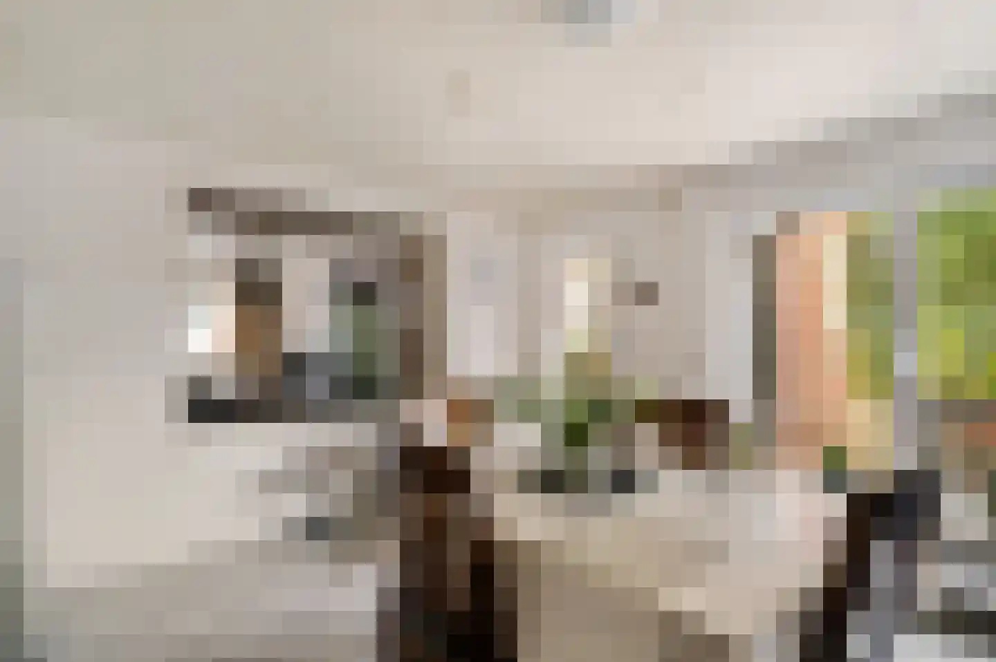 Vlasvenstraat 3 Melderslo thumbnail 5
