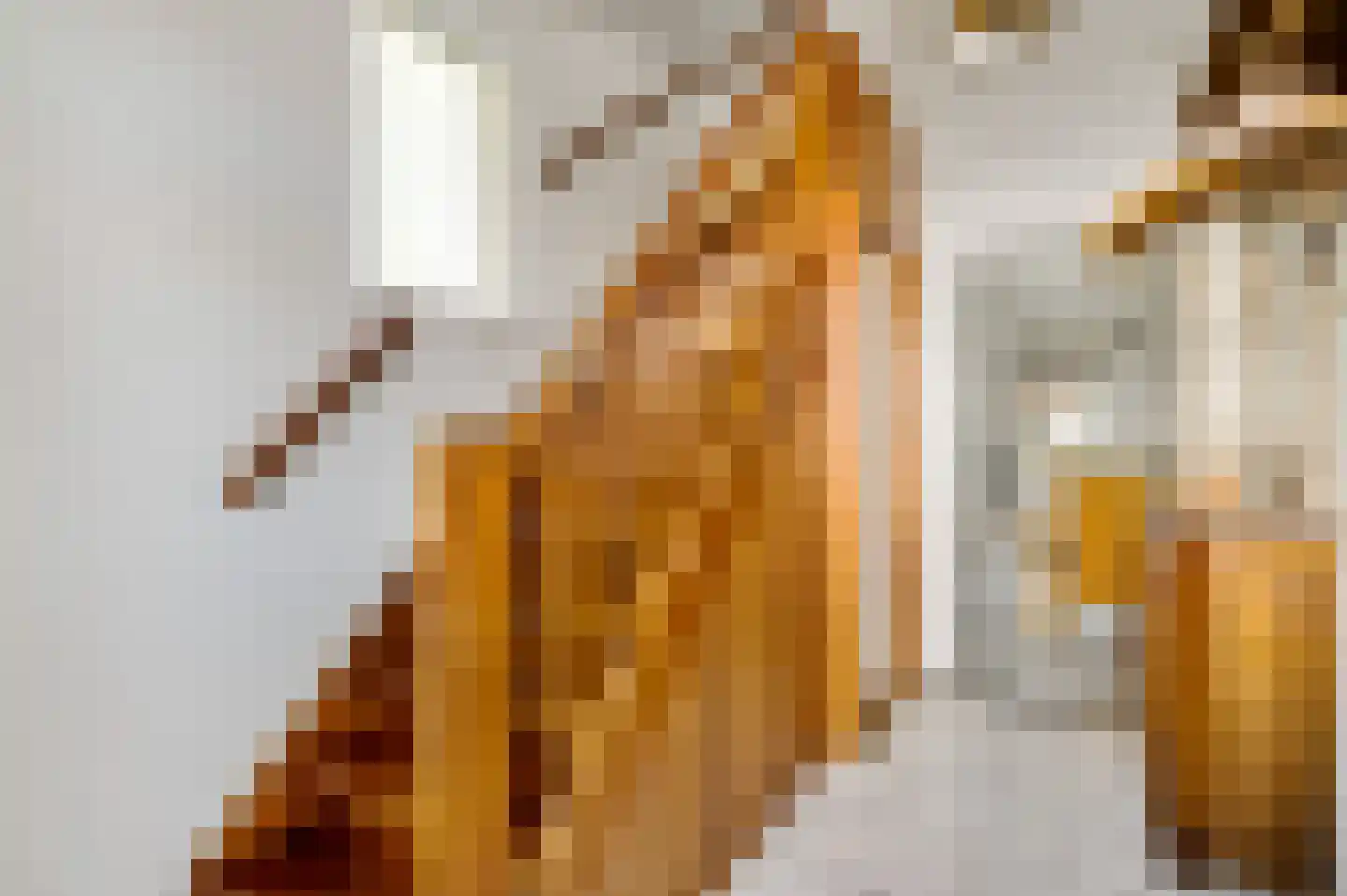 Vlasvenstraat 3 Melderslo thumbnail 9