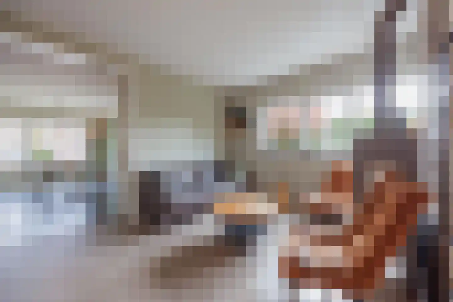 Vlasvenstraat 54 Melderslo thumbnail 18