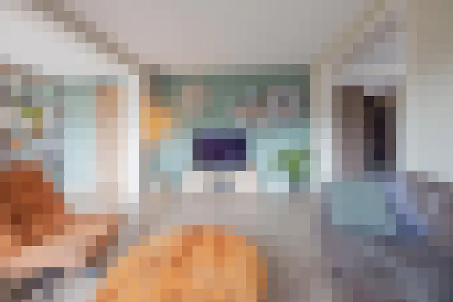 Vlasvenstraat 54 Melderslo thumbnail 19