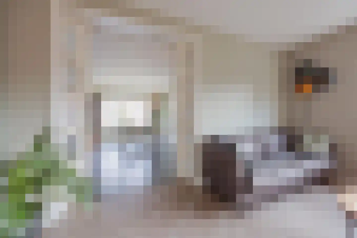 Vlasvenstraat 54 Melderslo thumbnail 20