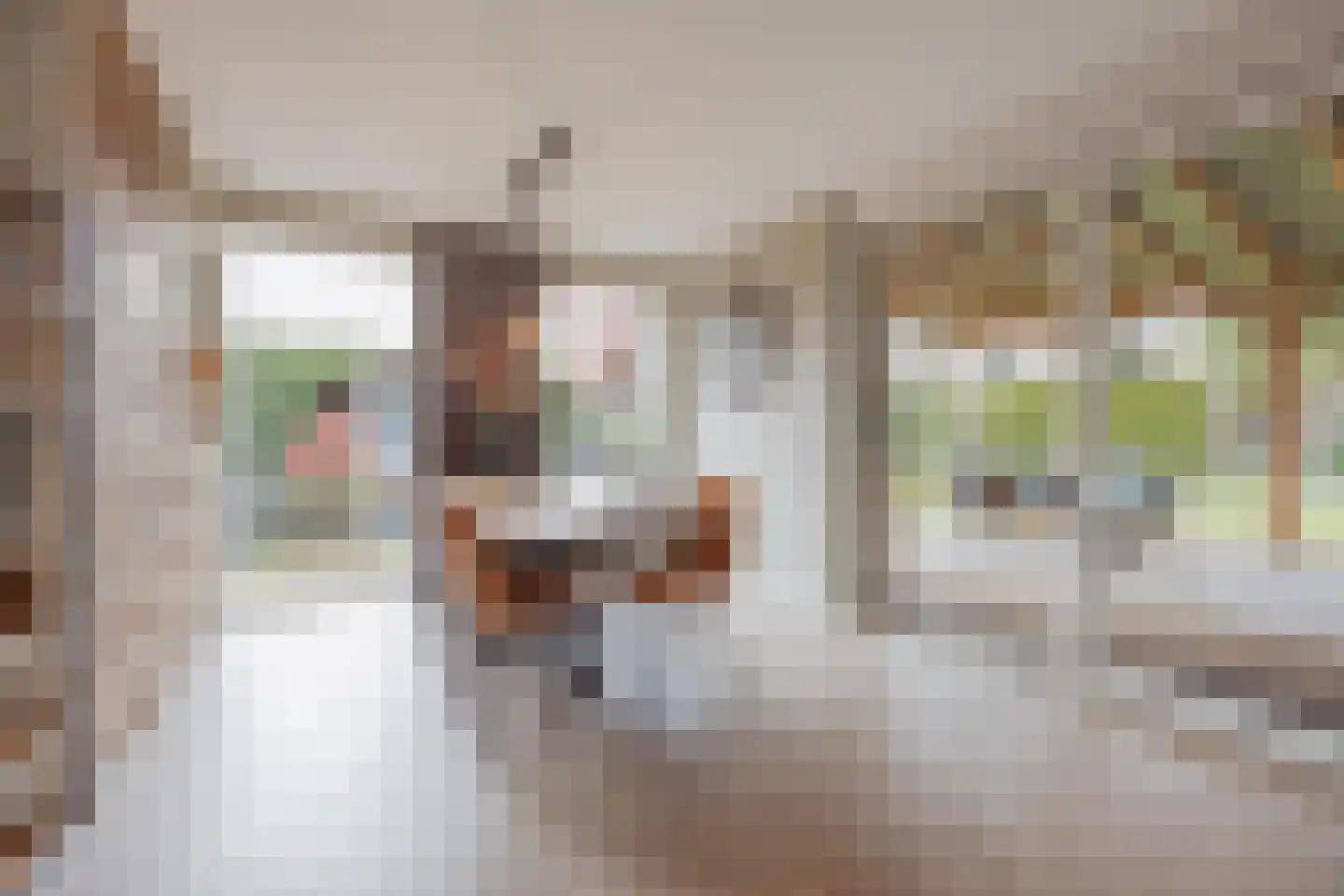 Vlasvenstraat 54 Melderslo thumbnail 21