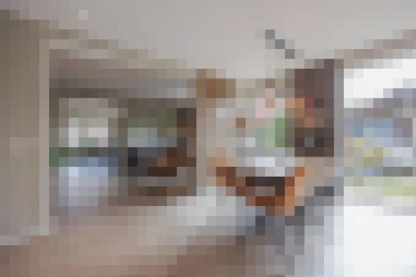 Vlasvenstraat 54 Melderslo thumbnail 22