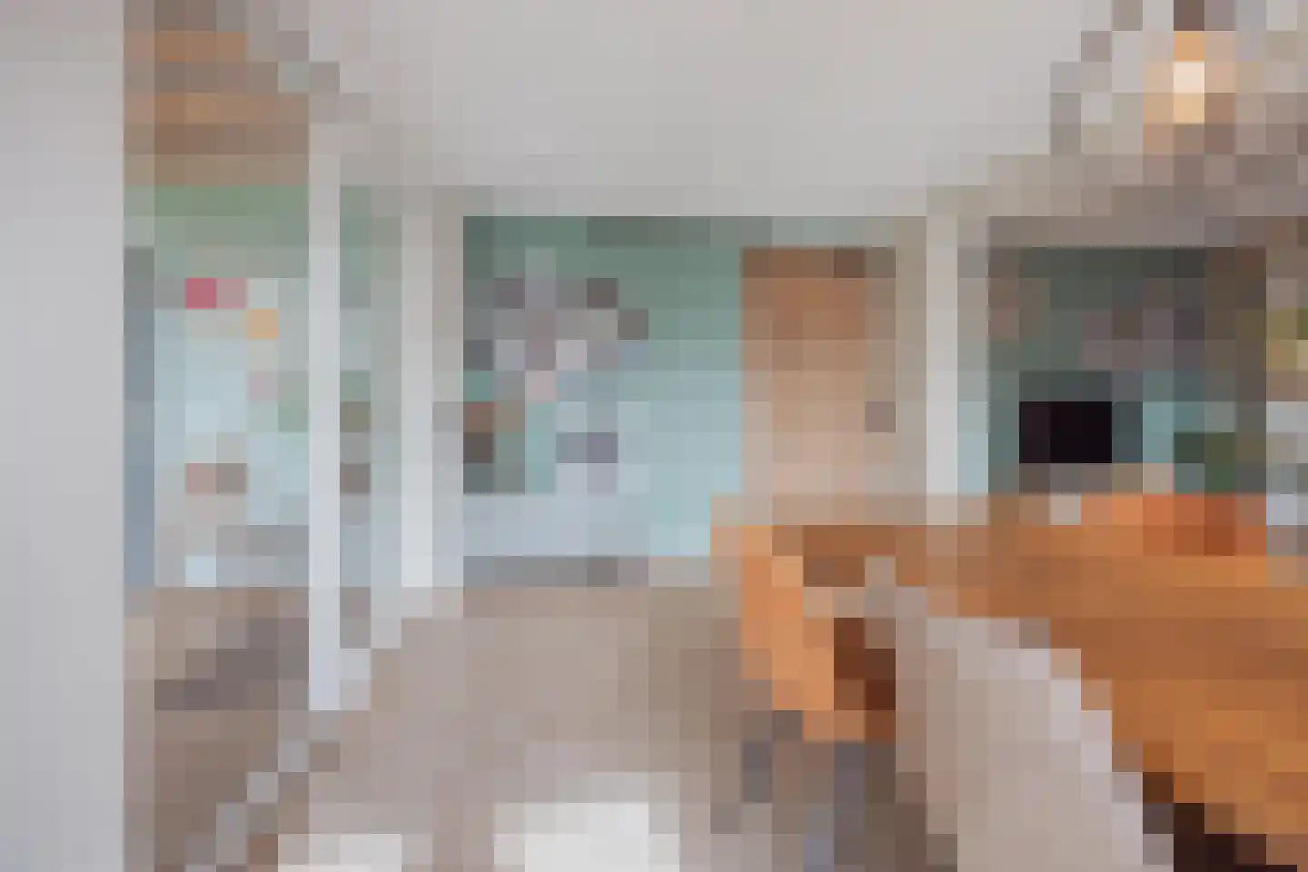 Vlasvenstraat 54 Melderslo thumbnail 23