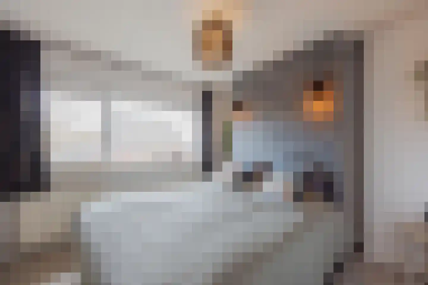 Vlasvenstraat 54 Melderslo thumbnail 30