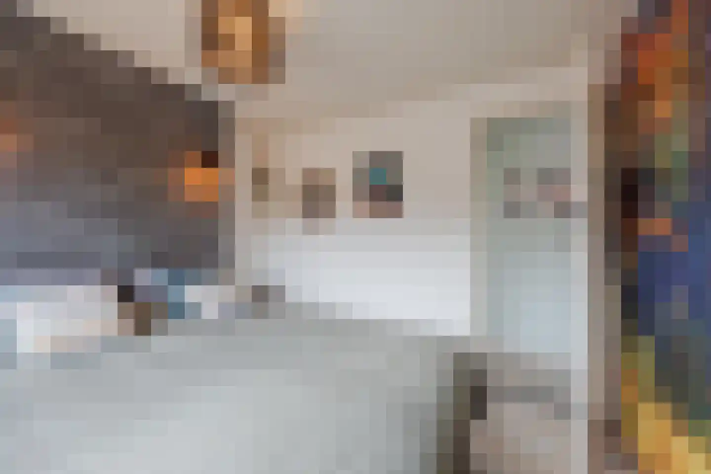 Vlasvenstraat 54 Melderslo thumbnail 31