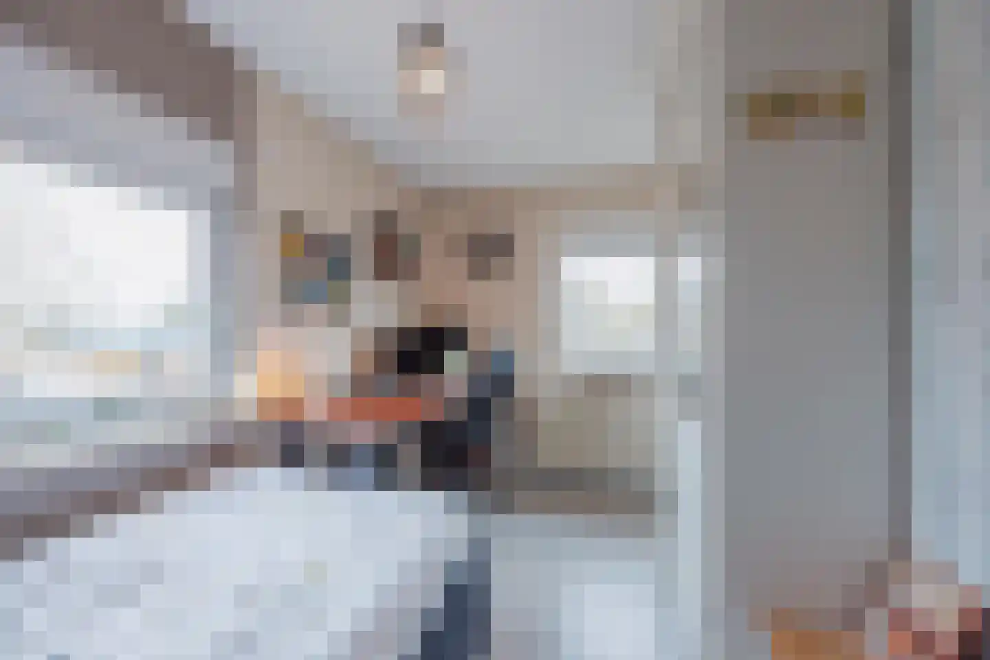 Vlasvenstraat 54 Melderslo thumbnail 34