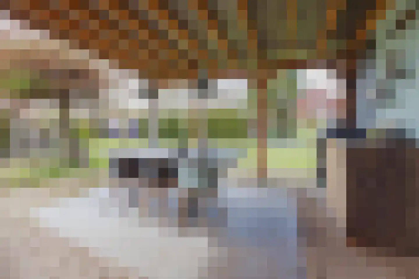 Vlasvenstraat 54 Melderslo thumbnail 38