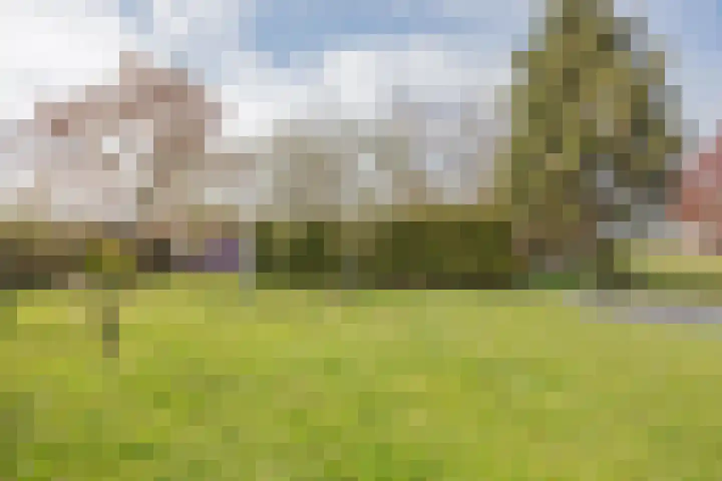 Vlasvenstraat 54 Melderslo thumbnail 39