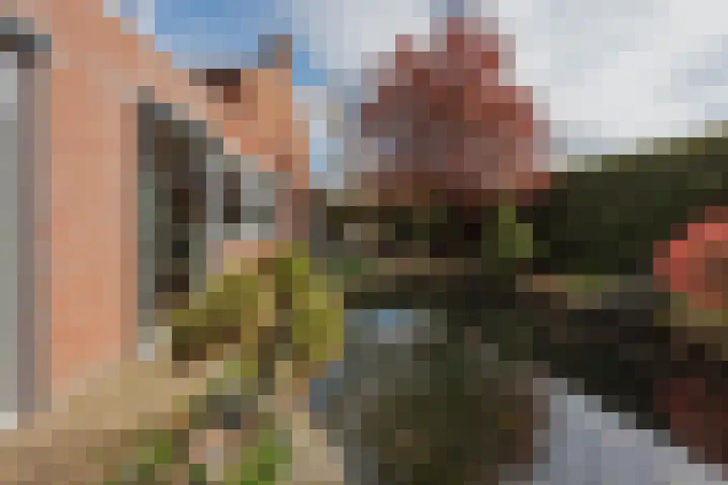 Vlasvenstraat 54 Melderslo thumbnail 40