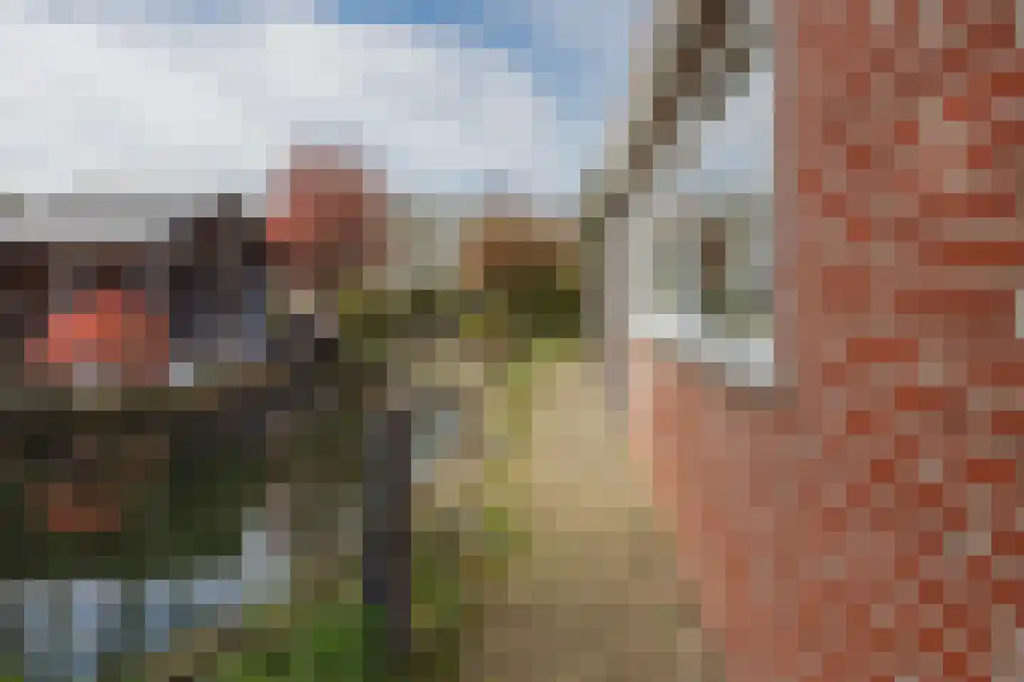 Vlasvenstraat 54 Melderslo thumbnail 41