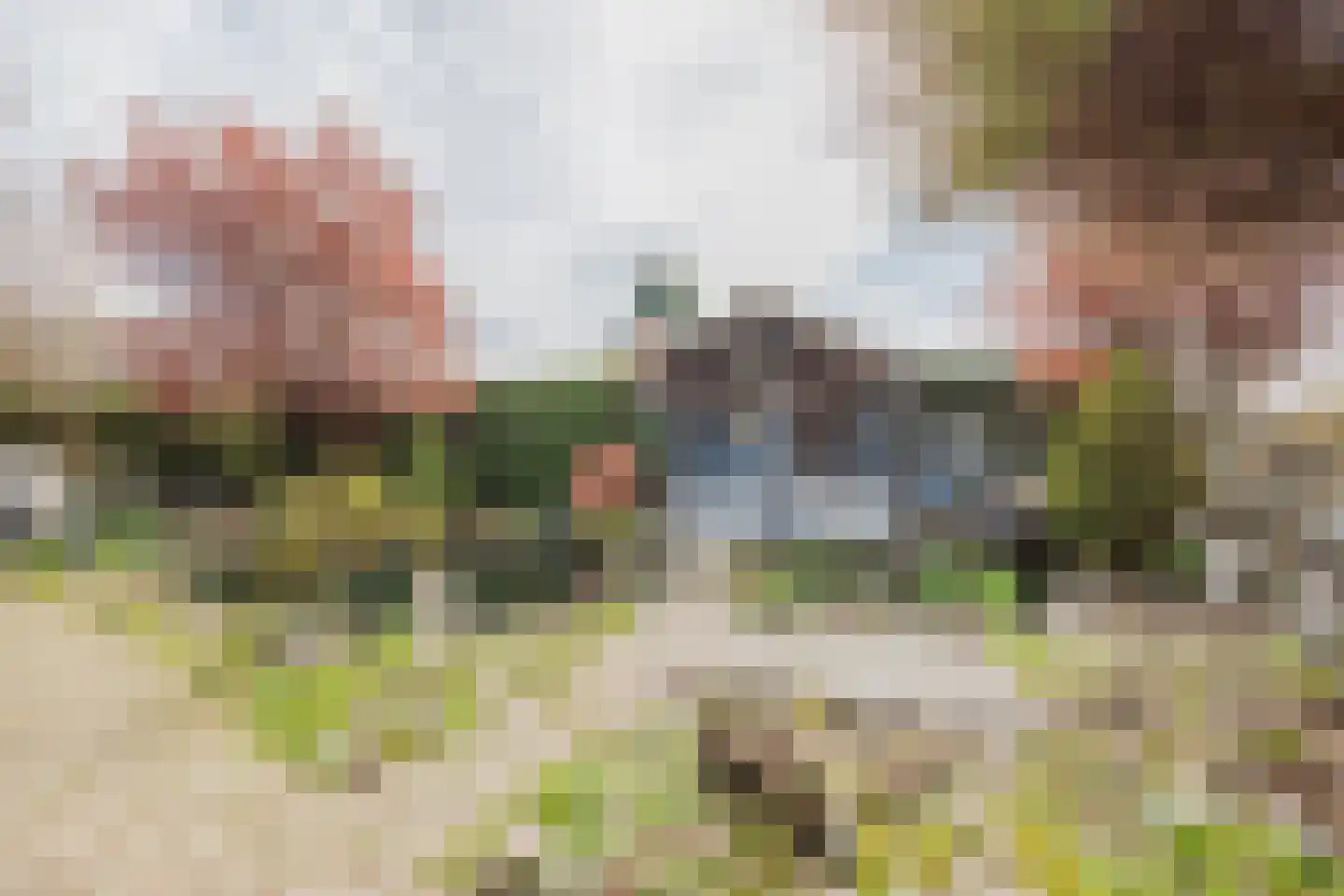 Vlasvenstraat 54 Melderslo thumbnail 42