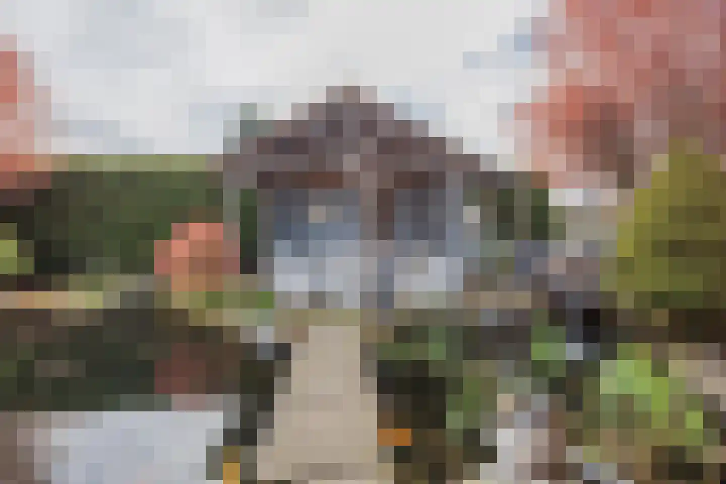 Vlasvenstraat 54 Melderslo thumbnail 43