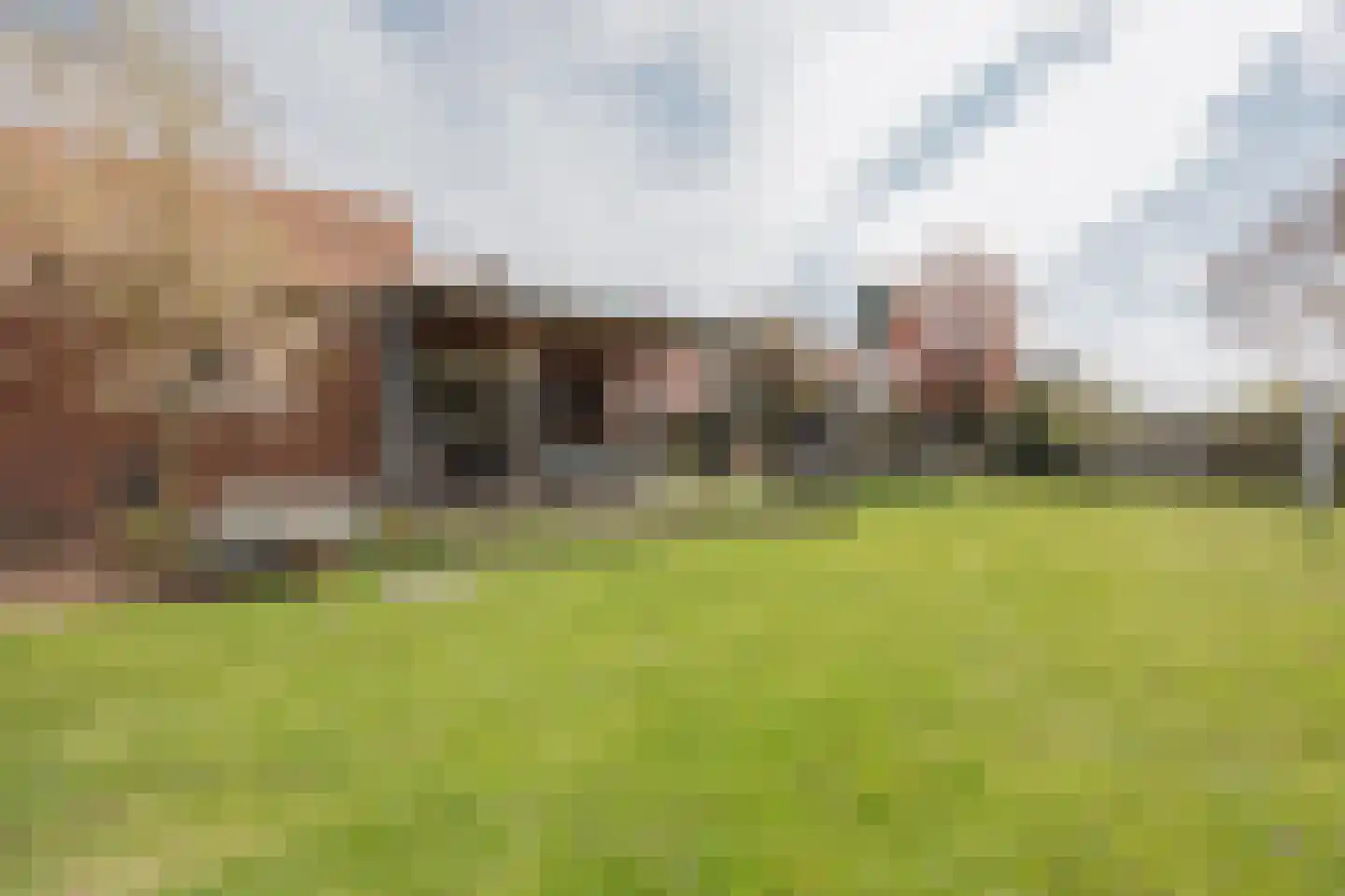 Vlasvenstraat 54 Melderslo thumbnail 48