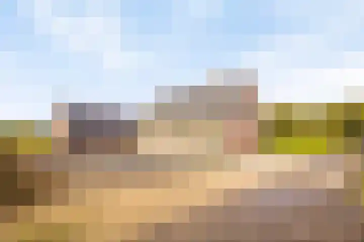 Vlasvenweg 6 Weert thumbnail 25