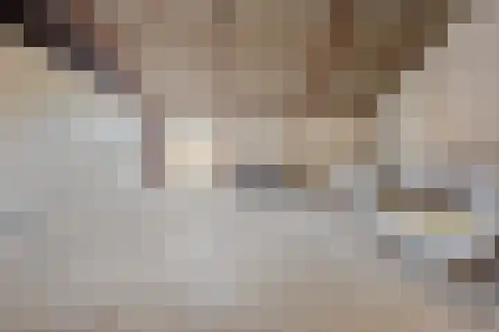 Vlasvenweg 6 Weert thumbnail 35