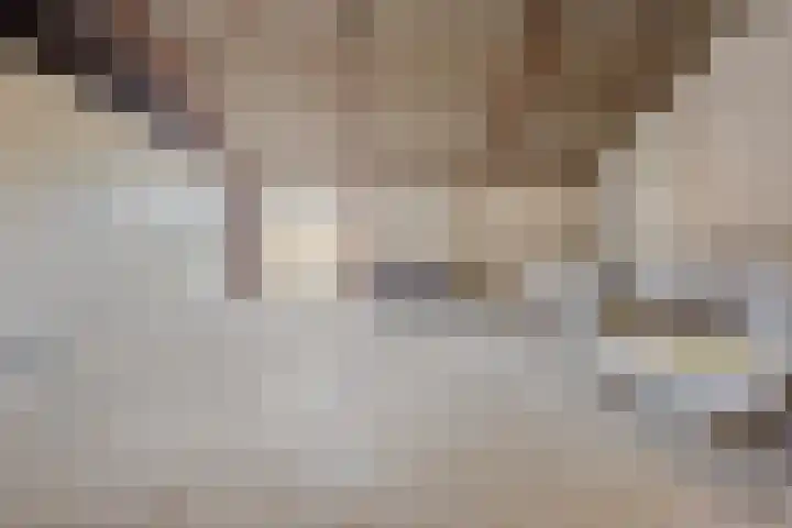Vlasvenweg 6 Weert thumbnail 35