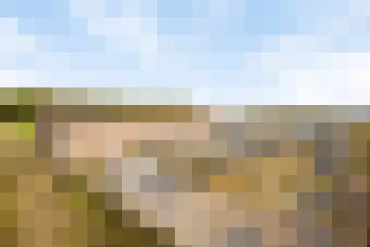 Vlasvenweg 6 Weert thumbnail 36