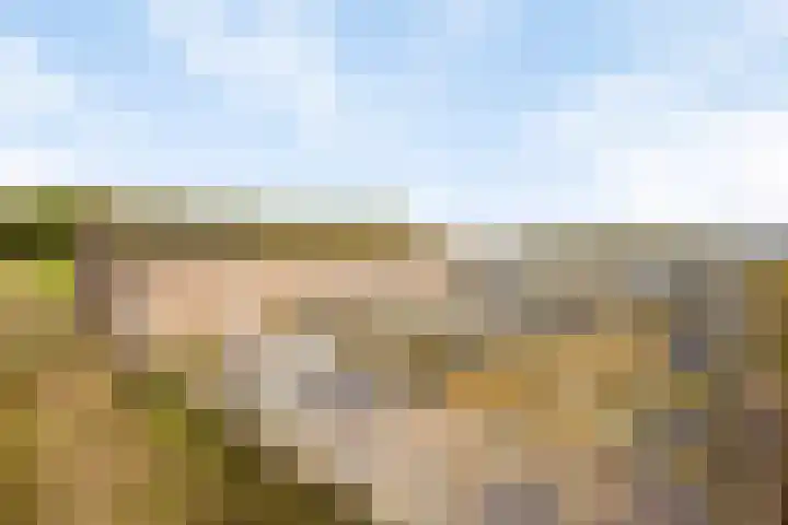 Vlasvenweg 6 Weert thumbnail 36