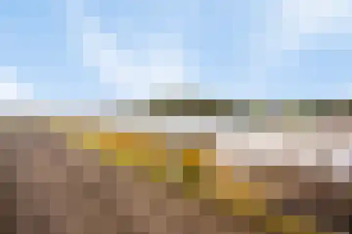 Vlasvenweg 6 Weert thumbnail 37