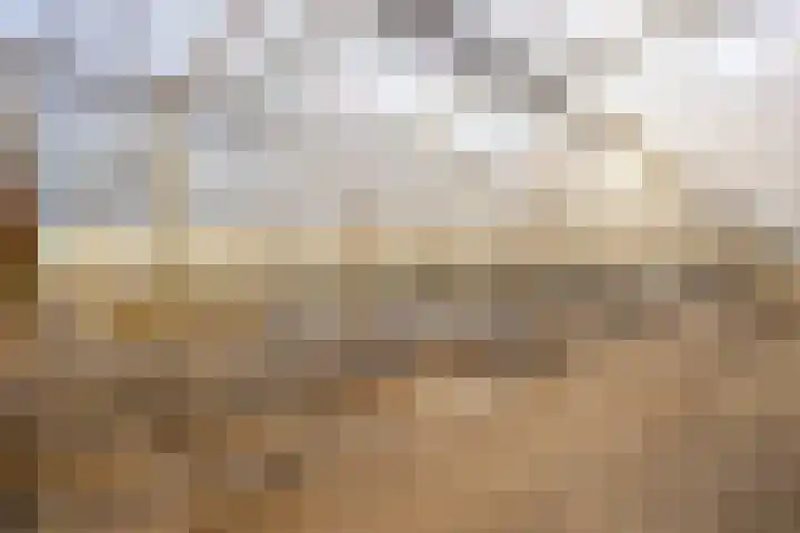 Vlasvenweg 6 Weert thumbnail 38