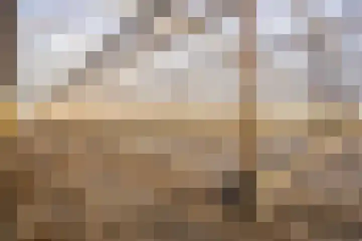 Vlasvenweg 6 Weert thumbnail 39