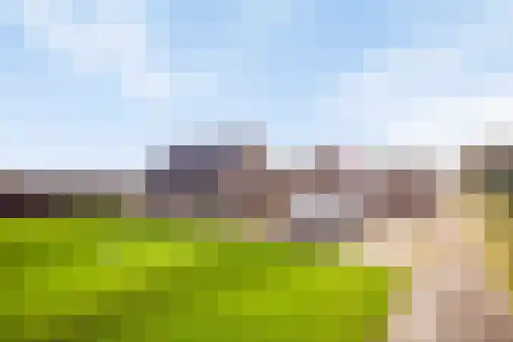 Vlasvenweg 6 Weert thumbnail 4