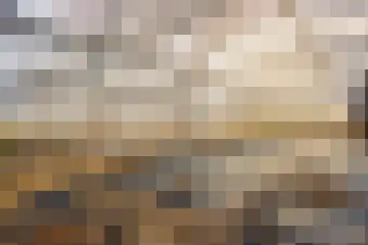 Vlasvenweg 6 Weert thumbnail 40