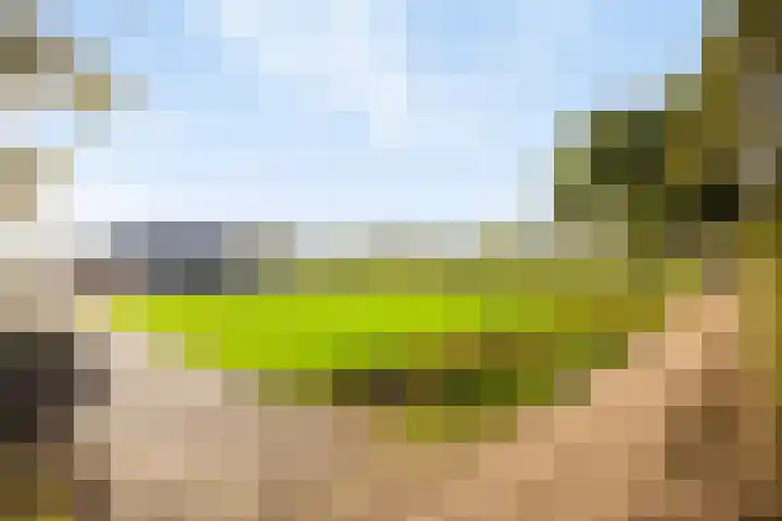 Vlasvenweg 6 Weert thumbnail 5