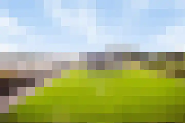 Vlasvenweg 6 Weert thumbnail 6