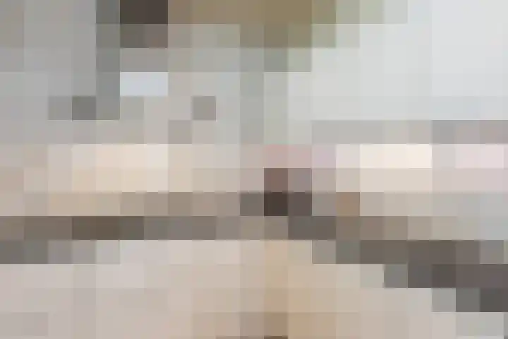 Vlasweel 15 Terheijden thumbnail 12