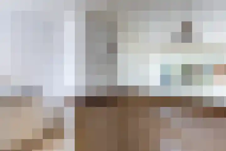 Vlasweel 15 Terheijden thumbnail 14