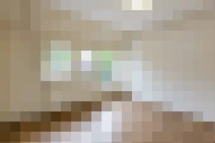 Vlasweel 15 Terheijden thumbnail 20
